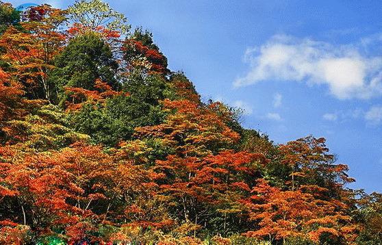秋天广州周边，在周末假日有哪些景点好逛？
