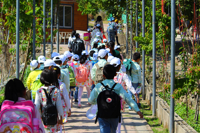 以秋之名为学之旅记录逸林研学旅行精彩瞬间你入镜了吗