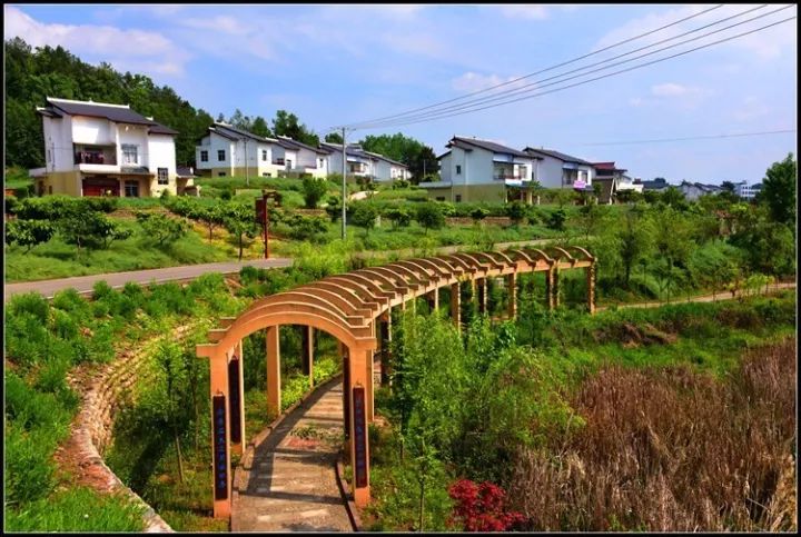 临江寺和烟丛寺;有生态人文与现代休闲完美结合的文家角村,狮岭村