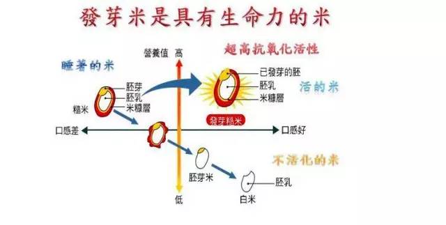 吃米人口_人口普查(2)