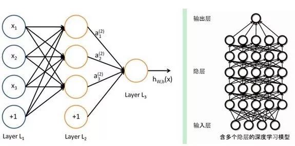 用香油擦红屁屁的原理_自制紫草香油 宝宝远离红屁屁(2)