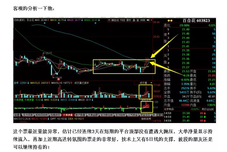 【30日持仓情况】东凌国际这个t没做好,百合花放牛了!