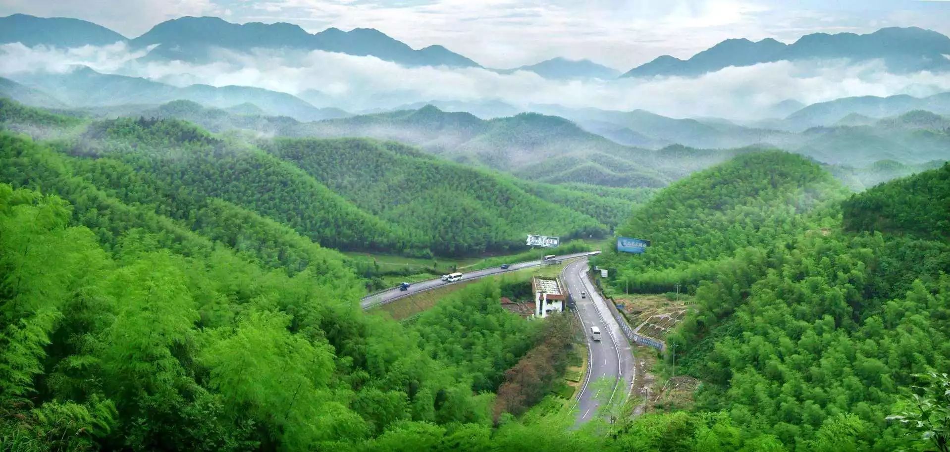 10月底,山屿海农场竹山香米终于迎来丰收!