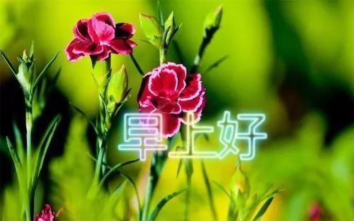 早上好图片带字 早安心语简短唯美语录一句话