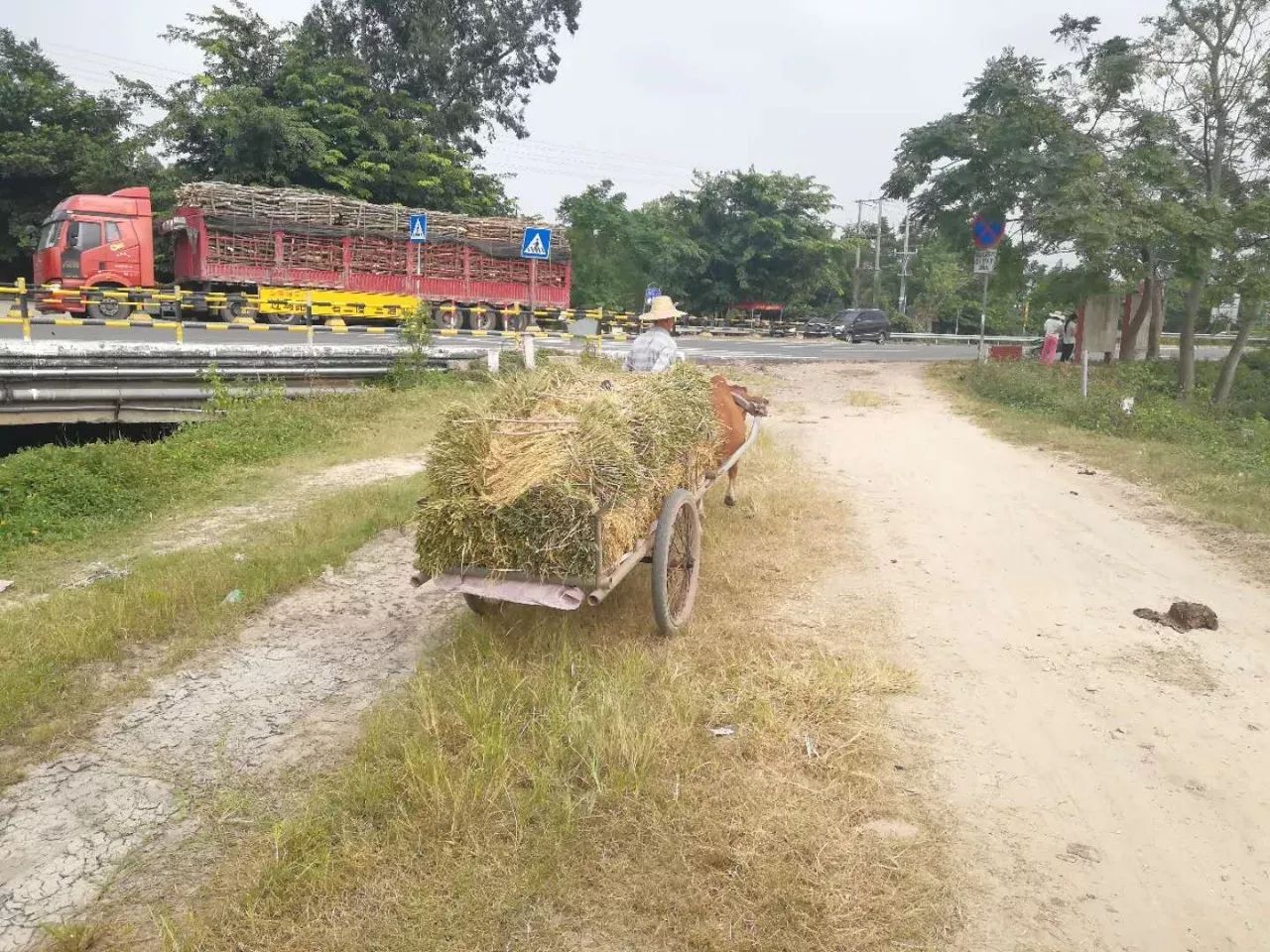 海南儋州多少人口_海南儋州海花岛图片(3)