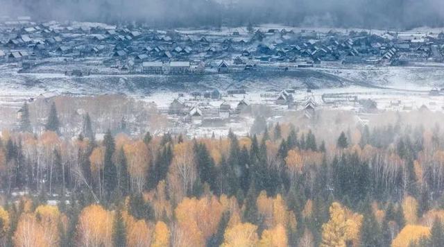 新疆雪后惊艳现身——大地之树