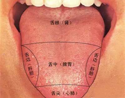 中医教您观七种舌象,知脏腑健康