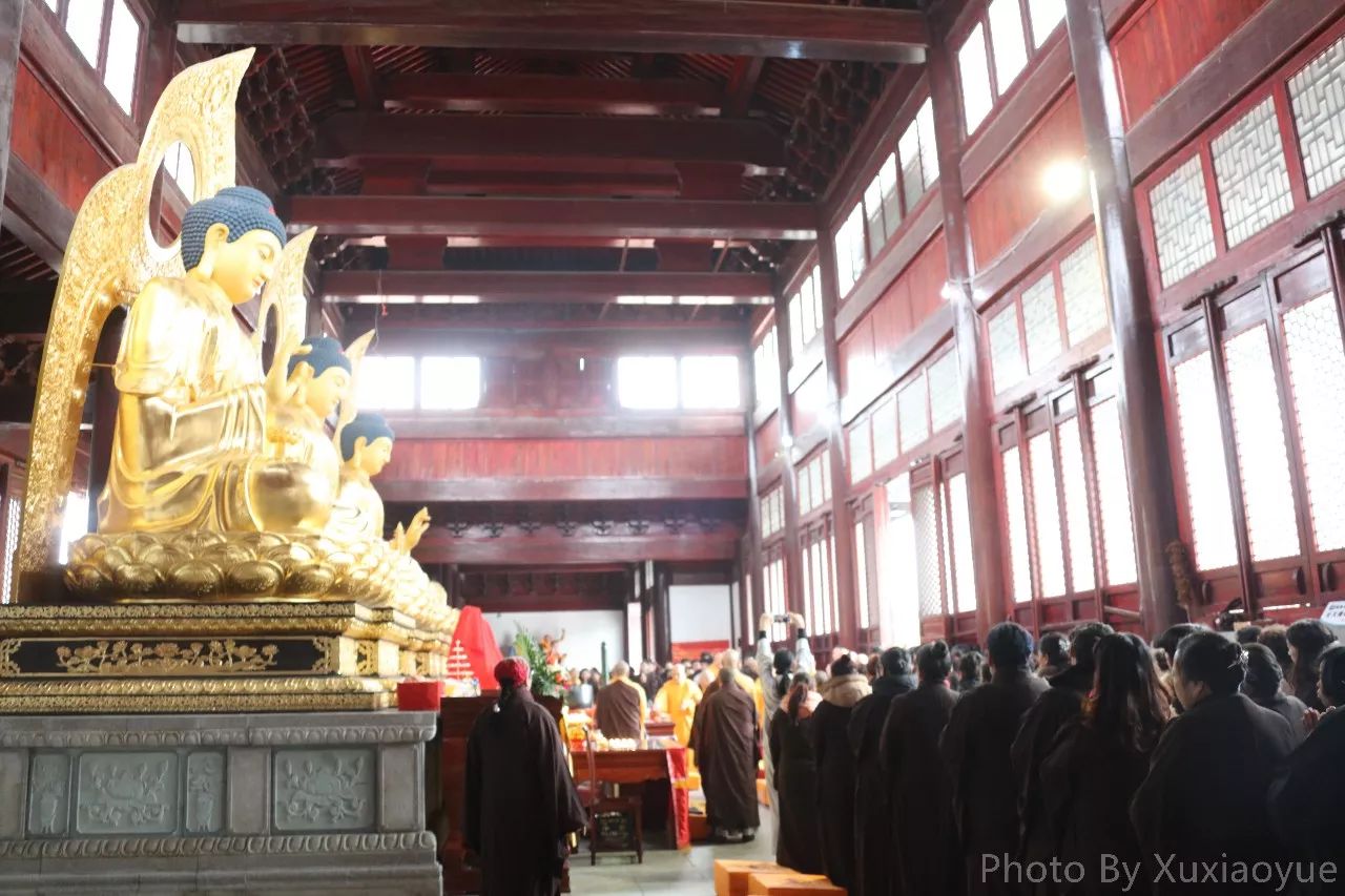 地点:潮音寺