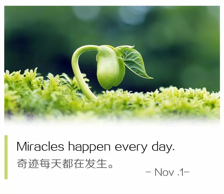 奇迹每天都在发生