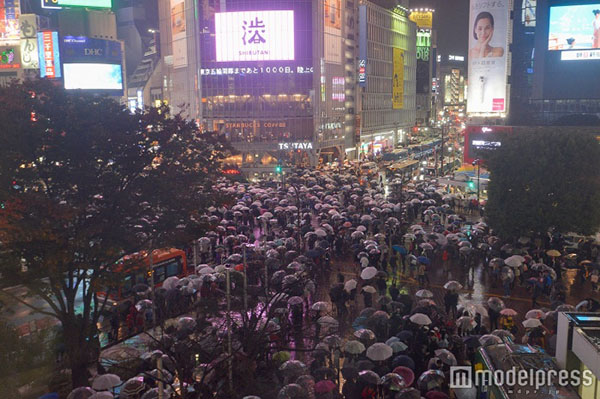 日本气氛短剧，传统与现代交织的微型戏剧艺术