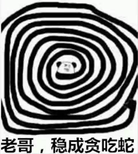 老哥稳人口_人口普查