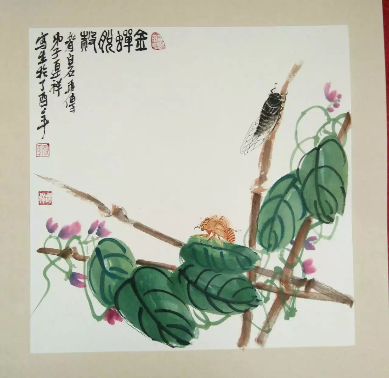 【大匠门下】花鸟草虫画家阳谷姚连祥