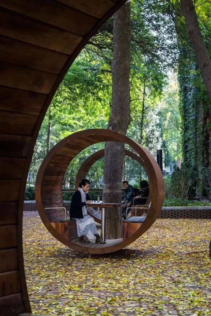 最有趣的校园改造:北京林业大学树洞花园