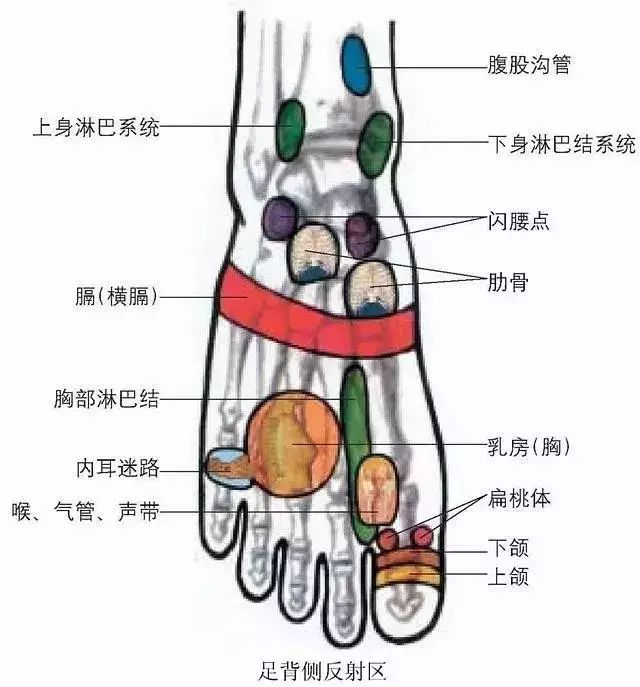 女人踩踩自己的脚,不容易得妇科病,为什么?