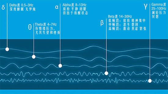 δ脑波 它是人们沉睡无梦时发出的脑波,以每秒钟3周波以下的频率运行