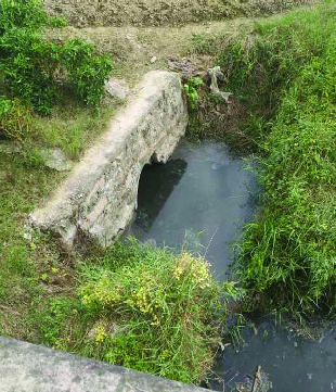 灵溪镇沪山社区凤沪溪及支流岸边建筑垃圾乱堆放,河岸多处违章搭建