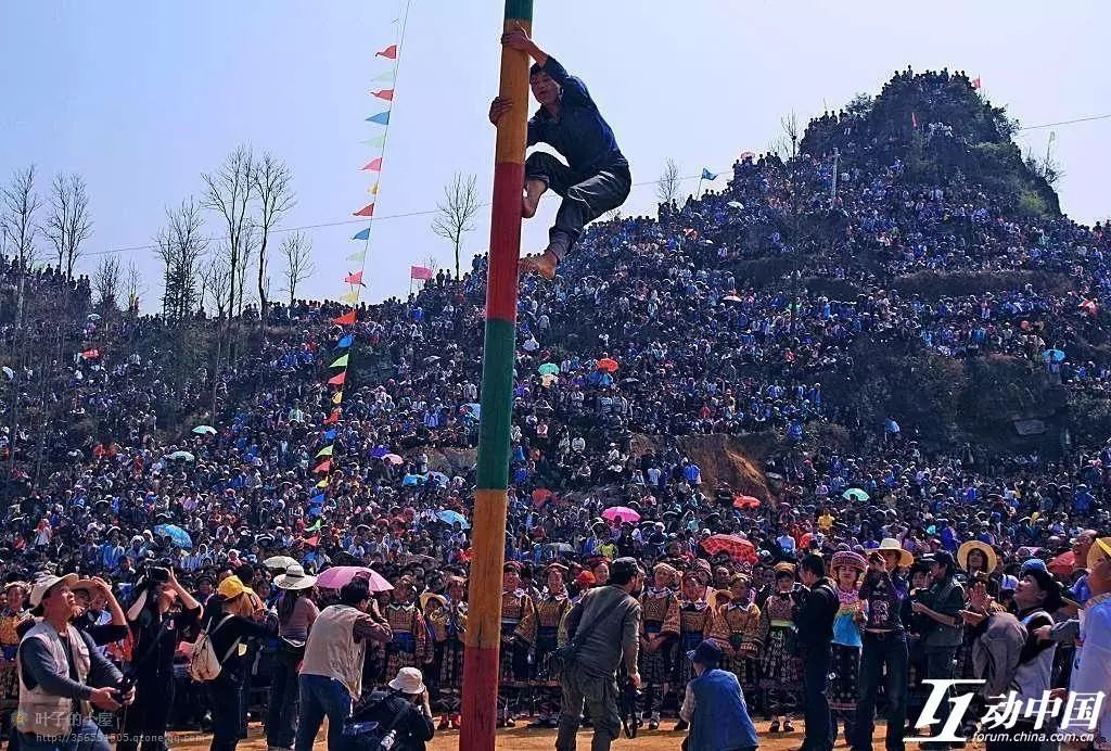 在这偏远的地方各有不同的民间习俗,苗族最流行的是跳坡节,彝族是火把