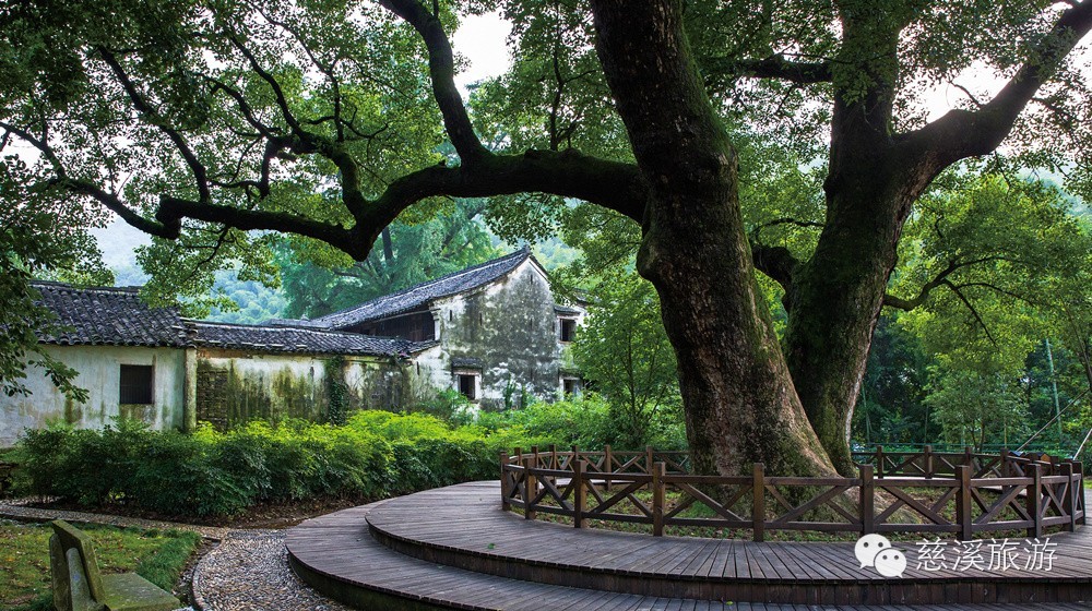 上午:达蓬山徐福文化园 中餐:甬金饭店 下午:方家河头,伏龙山景区