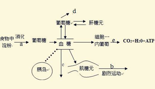 胰岛素异常只会影响血糖太天真这些疾病都与它有关