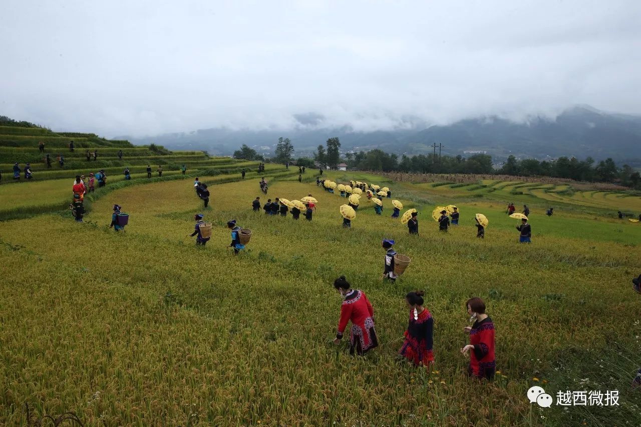 看点摄影家用镜头助推普雄镇乡村旅游