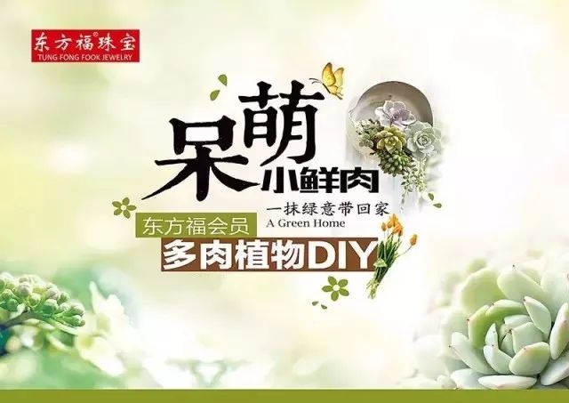 【荣成会员多肉diy征集】约会呆萌"小鲜肉",一起嗨玩儿吧!