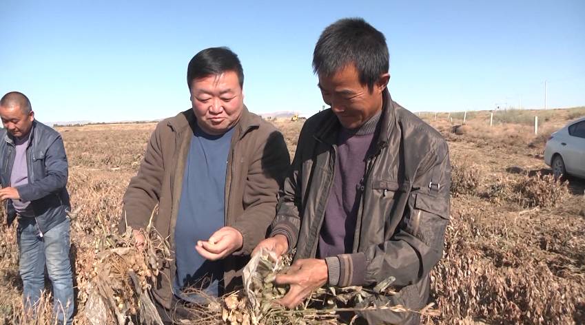 美食 正文  乌拉特中旗德岭山镇苏独仑嘎查属沙质土壤,经过综合分析