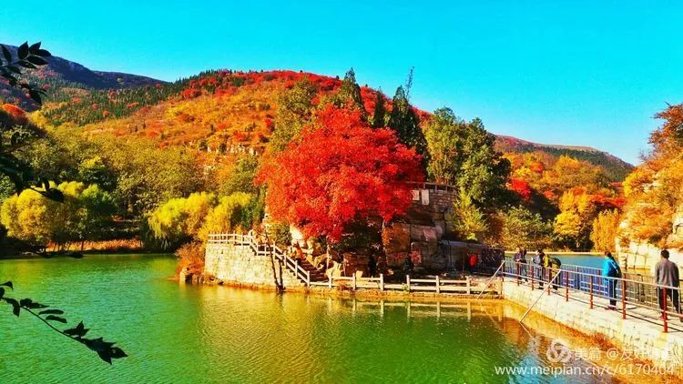 秋天,淄川西部这个不要钱的景区也是美爆连!