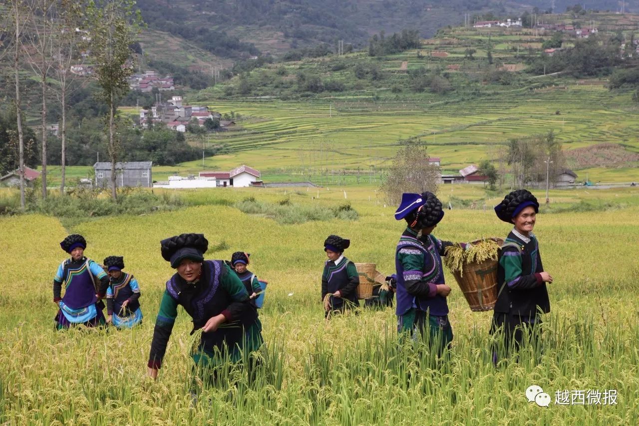 看点摄影家用镜头助推普雄镇乡村旅游