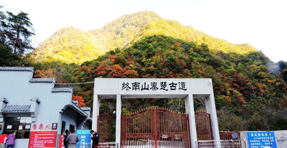 重走终南山秦楚古道 色彩斑斓秋景醉