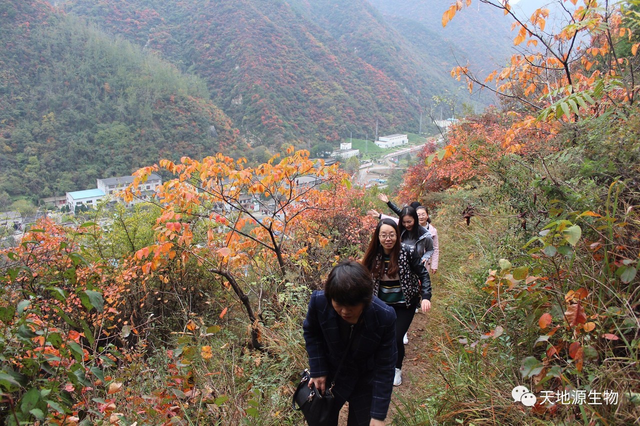 西邻黄柏峪,东邻太平峪,有"天上一轮月,圭峰十二圆"之称.