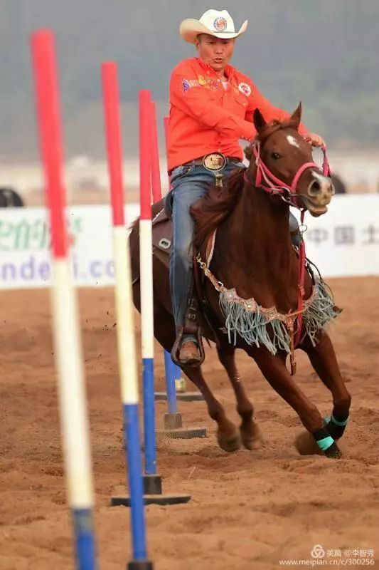 速度酷炫2017中国61临沂全国马术大赛圆满落幕