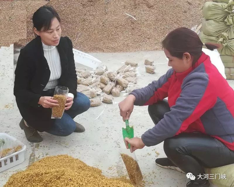 第一次进村开会卢氏这个驻村女书记就发火了