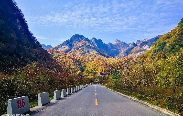 秦岭黄色一大片210国道童话般的景观大道