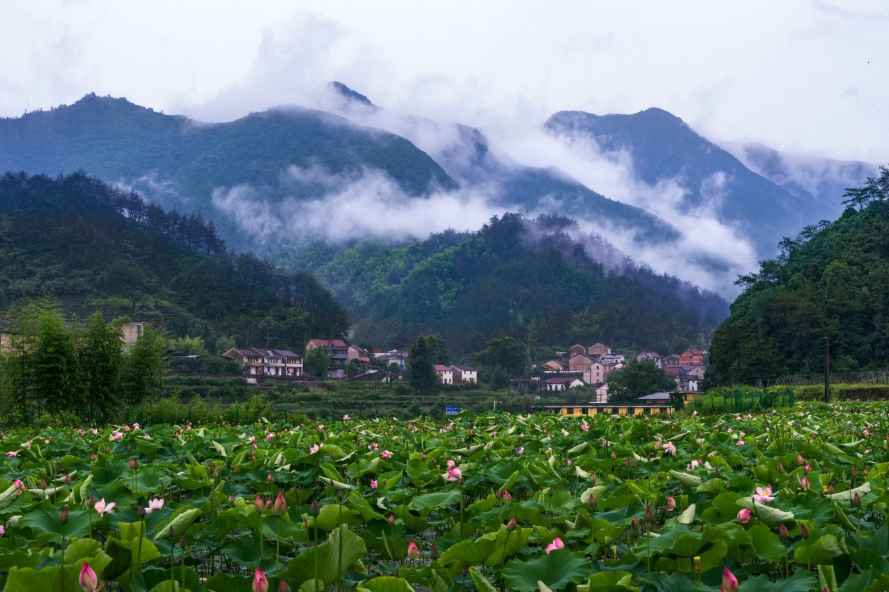 旅游 正文  在浙江,许多被时光遗忘的小城镇如繁星般散落于绿水青山