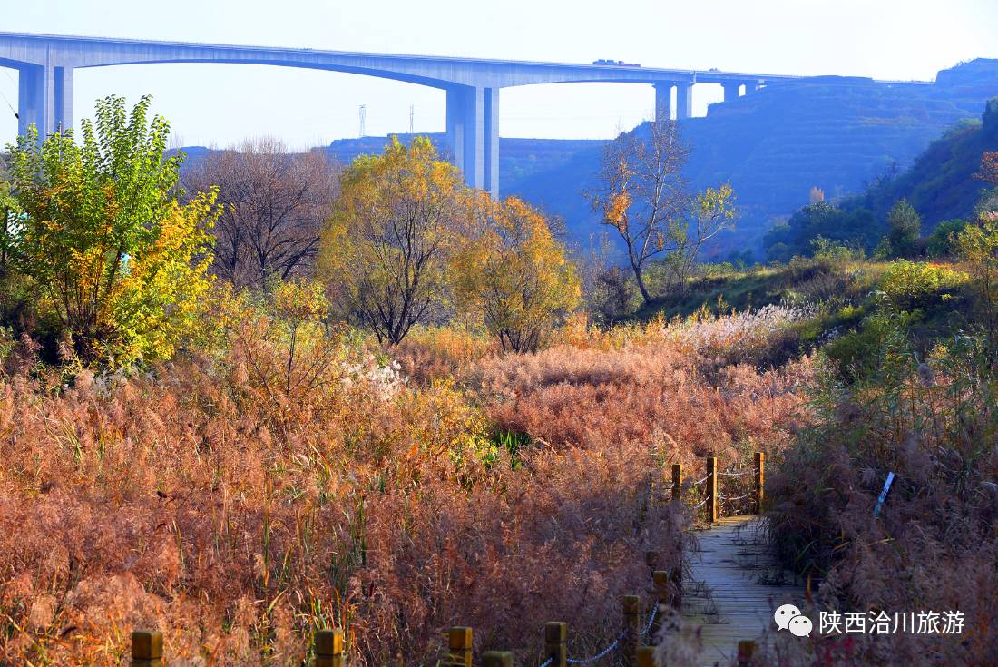 据了解,合阳徐水河国家湿地公园于2013年12月经国家林业局批准试点