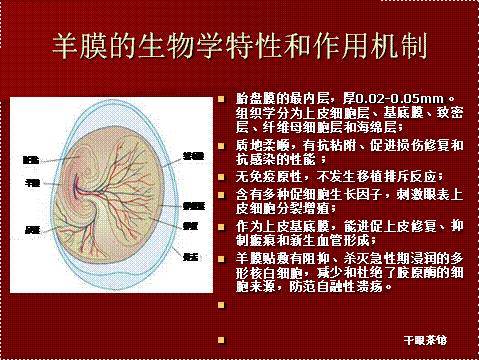 羊膜贴敷术的临床应用