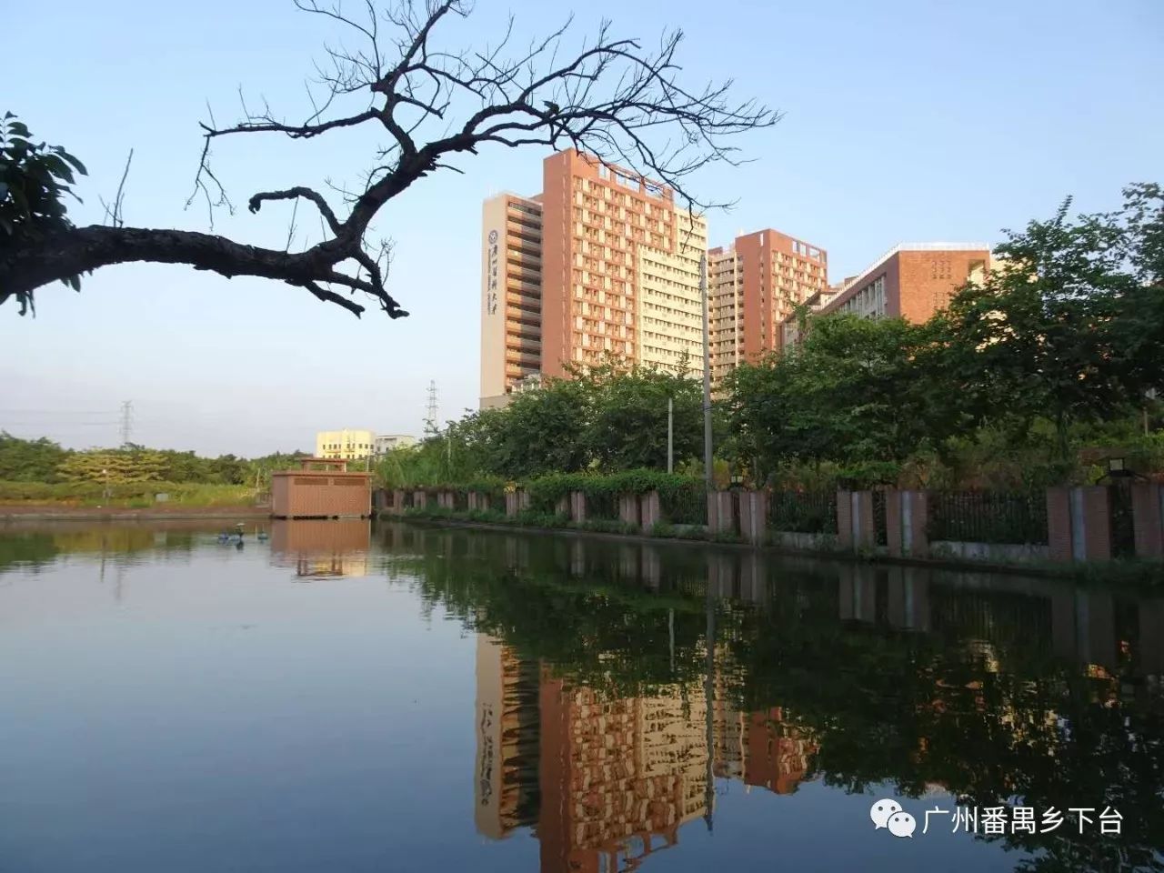 番禺再无大岗镇但有大岗村