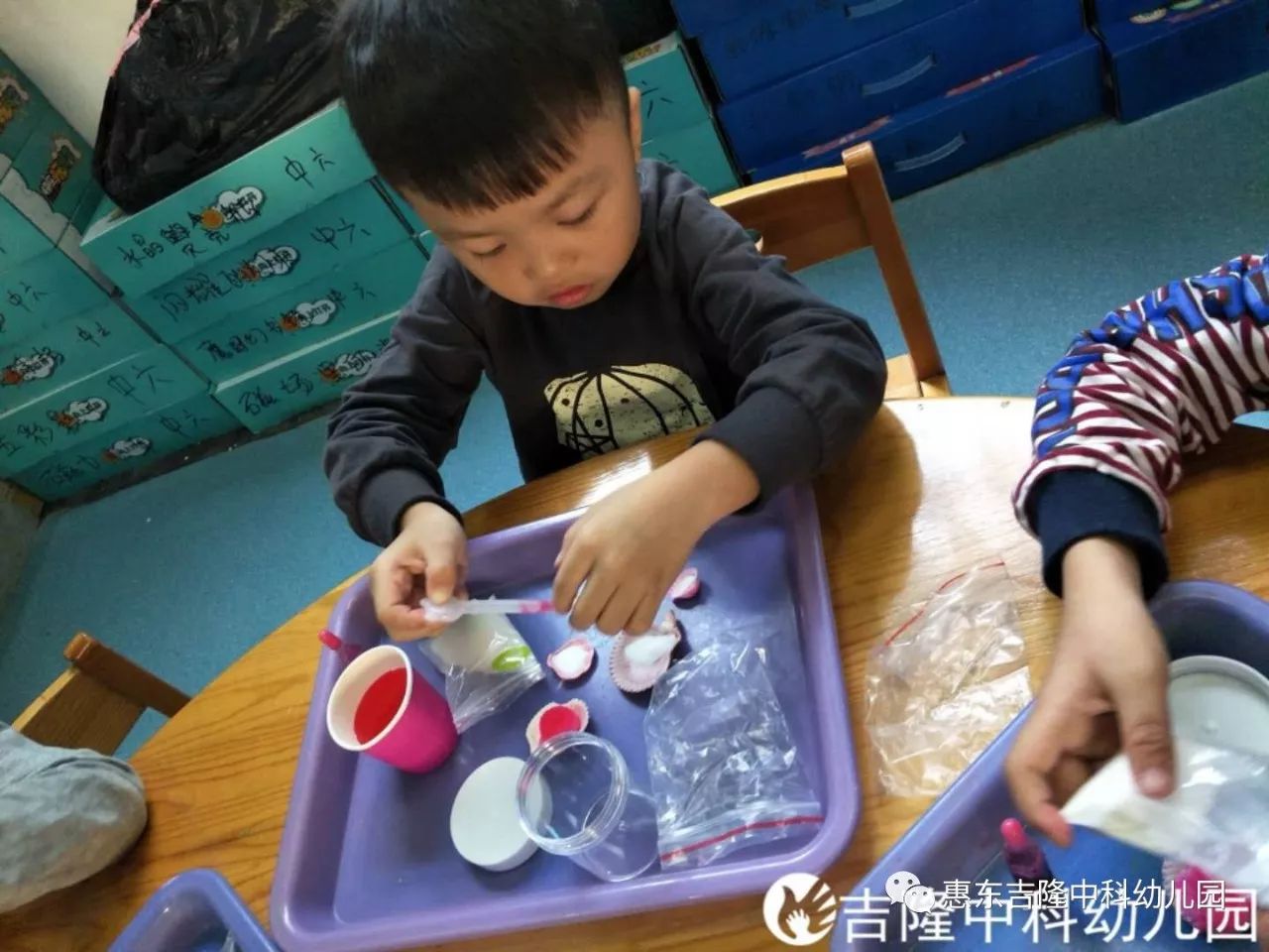 中科幼儿园中班快乐科学小实验——水晶贝壳瓶