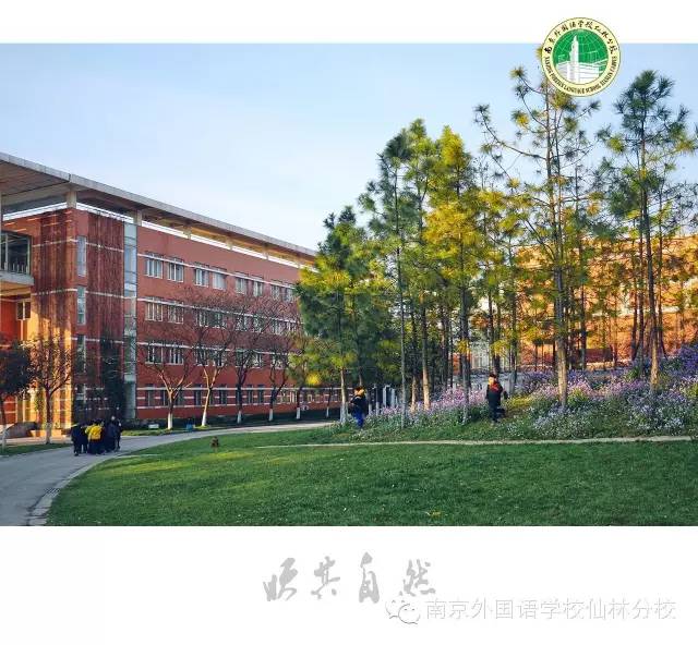 仙林人口_南京大学仙林校区(3)