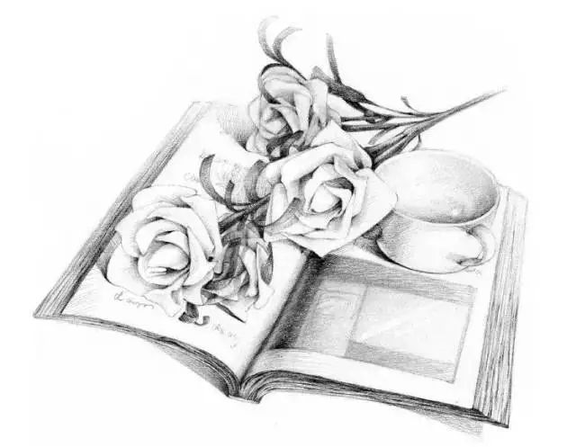 素描也好玩——教你画白玫瑰