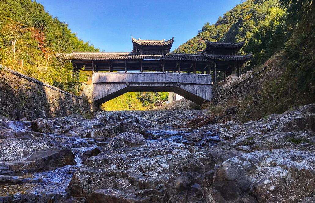 (小微剧透下:在今年召开的庆元县创建省全域旅游示范县暨旅游发展