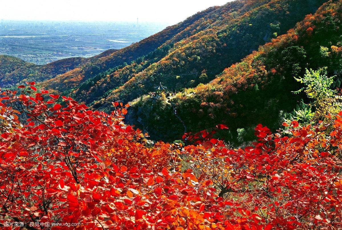 香 山 燕郊-香山景区(行驶时间约2小时 早 00 出发赴