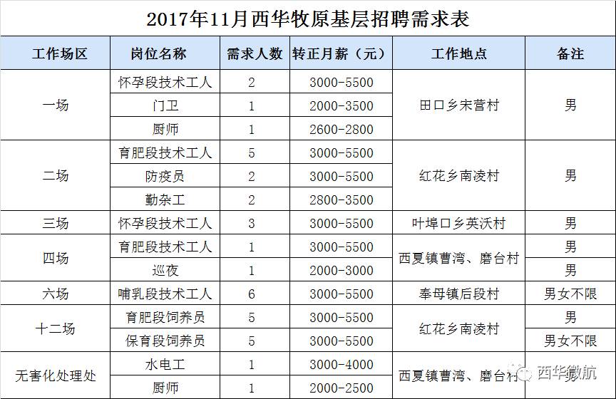 11.10日,西华牧原急招这些人才速看!