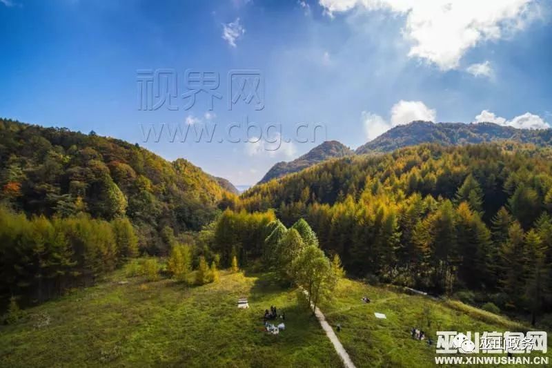 近年来,巫山县大力发展以生态旅游为主的生态产业,将梨子坪森林公园