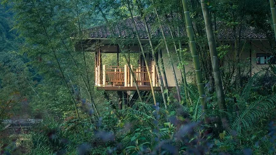 从度假村入口的竹桥,到8栋竹林别墅