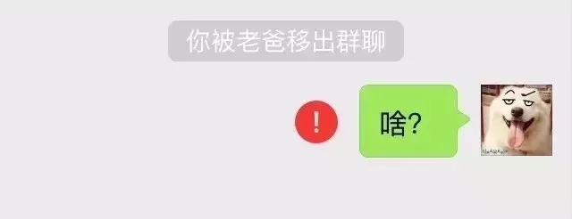 你已被移出群聊