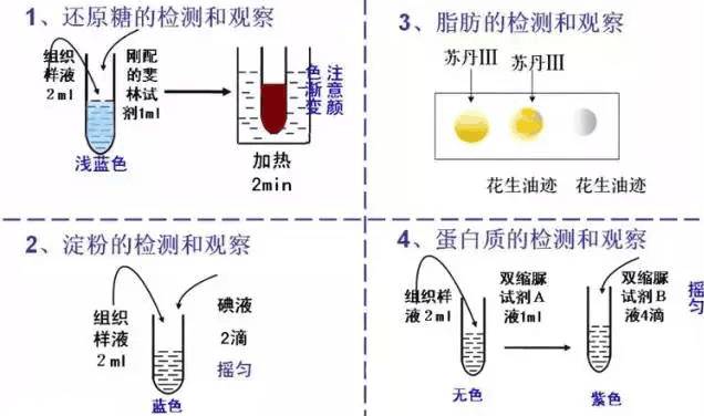 一物降一物体现的是什么辩证原理_幸福是什么图片(2)