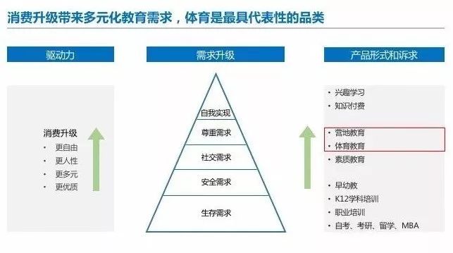 美国体育 gdp_美国gdp构成比例图(2)