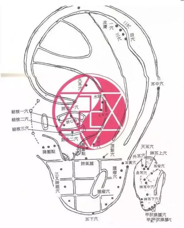 董氏七十二绝针都配上图了一目了然