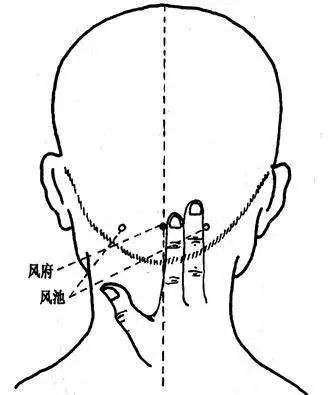 经常按摩风府穴,可缓解因风邪引起的头痛,眩晕,颈项强痛,咽喉肿痛等不